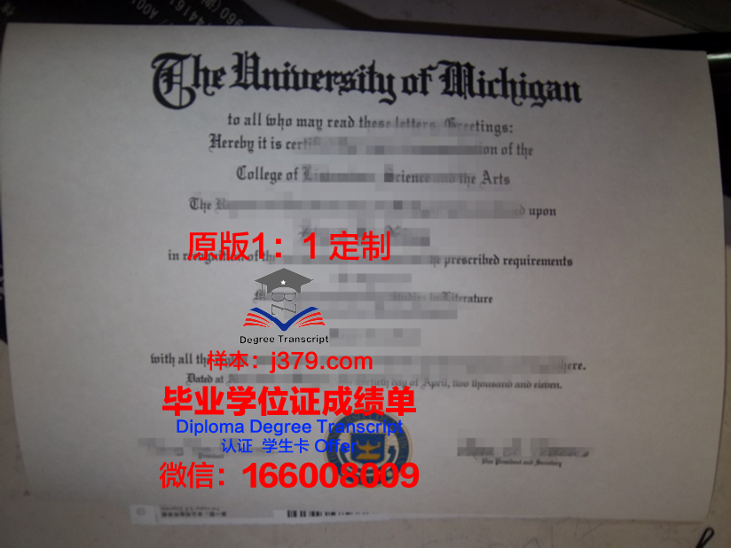 澳津高等教育学院毕业证:开启职业生涯的敲门砖