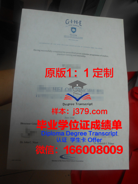里昂国立应用科学学院毕业证是真的吗(里昂大学被国内承认吗)