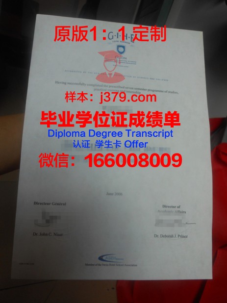 里昂国立应用科学学院证书成绩单(里昂国立音乐学院申请条件)