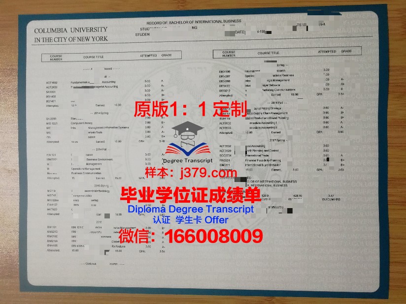 熊大成绩单:记录成长足迹,见证砥砺前行