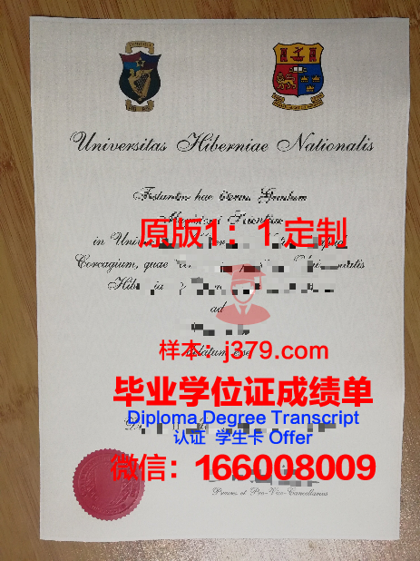 爱尔兰国立大学梅努斯分校研究生毕业证(爱尔兰国立大学研究生申请条件)
