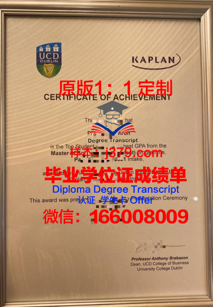 都柏林城市大学毕业证原版(都柏林城市大学相当于国内什么水平)