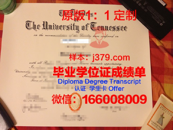 田纳西州立大学本科毕业证(田纳西大学毕业就业)