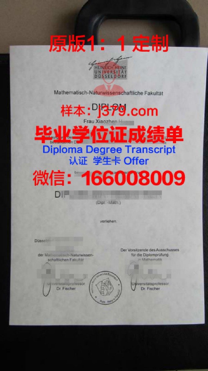 路德维希港应用技术大学diploma证书(德国路德维希港的地理位置)