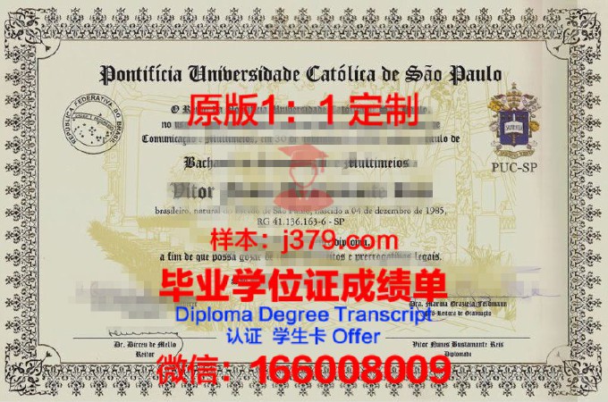 里约热内卢天主大学毕业证(里约天主教大学)