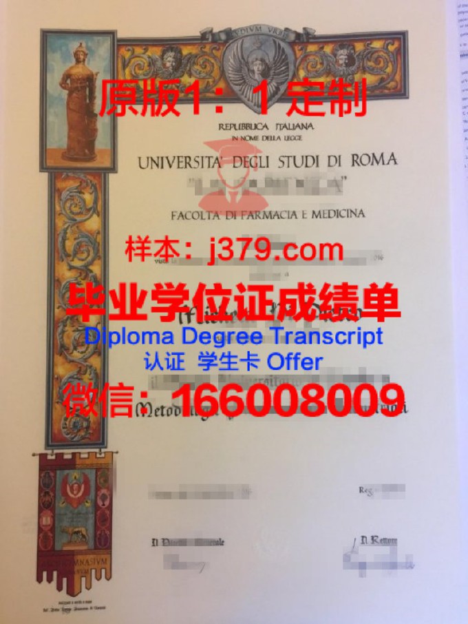 罗马第一大学毕业证案例(罗马第一大学申请条件)