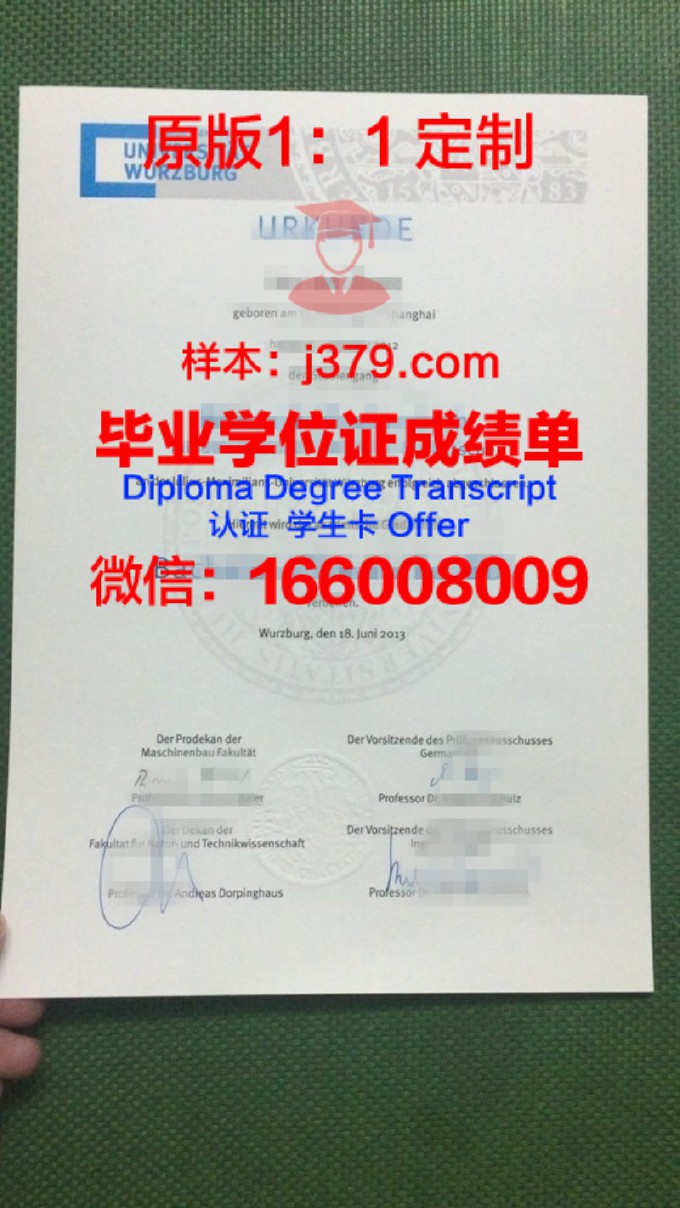 维尔茨堡-施韦因富特应用技术大学diploma证书(维尔兹堡应用科技大学)