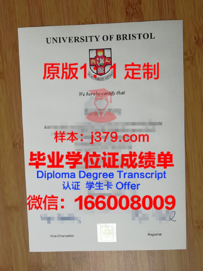 布里亚特国立大学毕业证电子版(布里斯托毕业证)