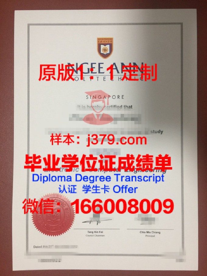 新加坡毕业证样式(新加坡大学毕业证高仿)