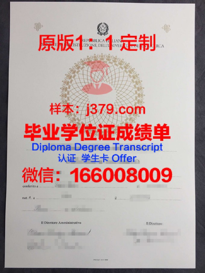 国际商业与技术学院学生证(国际商学院校徽)