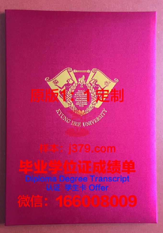 千叶大学毕业证壳子(大学毕业证的壳子)