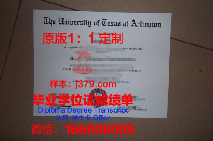 印度理工学院德里分校硕士毕业证书样本(印度理工学院如何申请)