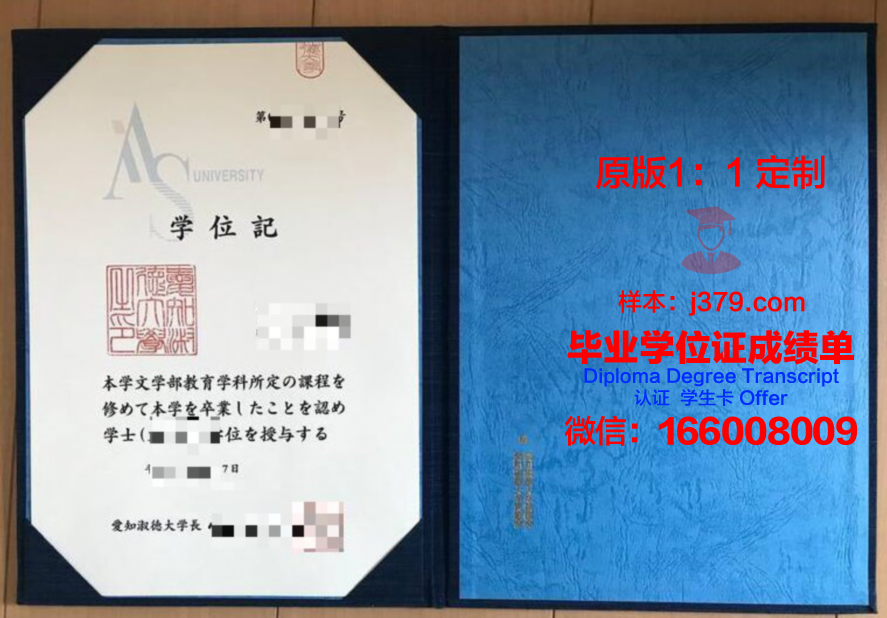 爱知工科大学博士学位证：知识与品质的象征