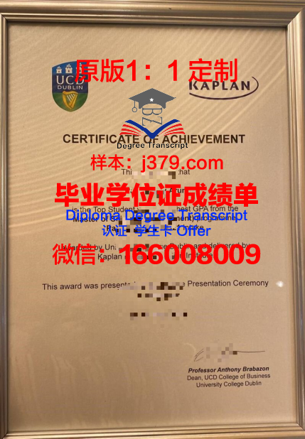 都柏林理工学院学位成绩单定制:探索学术诚信与教育公平的边界