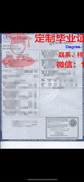 那洛巴大学成绩单:一份具有神秘色彩的学业评定