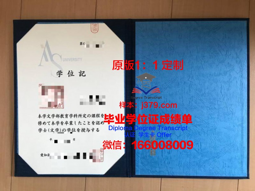 爱知工科大学博士学位证：知识与品质的象征