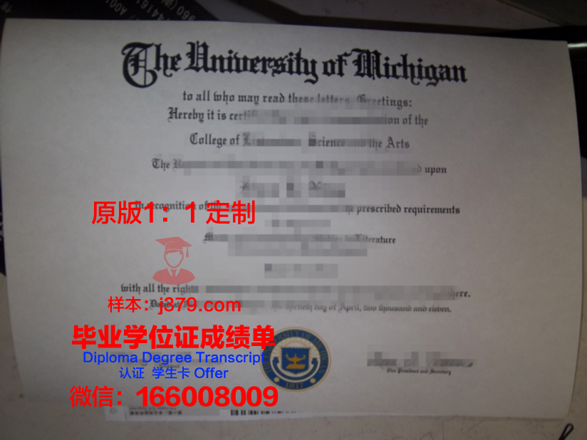 那洛巴大学毕业证好找工作吗(那洛巴的生平及教法)