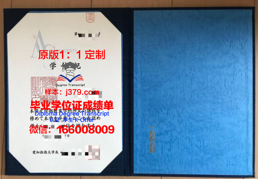 爱知东邦大学毕业证补办